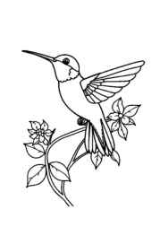 Birds Coloring Book 953A918C (12 Coloring Pages)