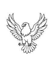 Birds Coloring Book 953A918C (12 Coloring Pages)