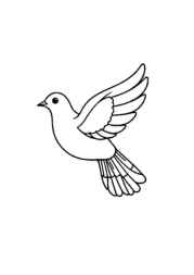 Birds Coloring Book 953A918C (12 Coloring Pages)