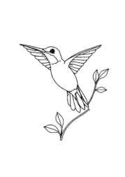 Birds Coloring Book 953A918C (12 Coloring Pages)