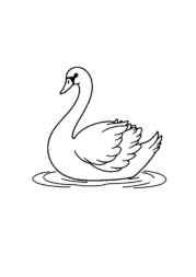 Birds Coloring Book 953A918C (12 Coloring Pages)