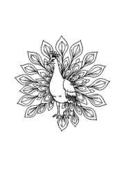 Birds Coloring Book 953A918C (12 Coloring Pages)