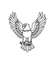 Birds Coloring Book 953A918C (12 Coloring Pages)