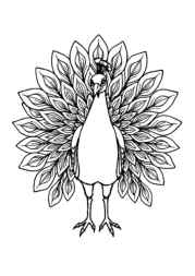 Birds Coloring Book DE03BC57 (12 Coloring Pages)