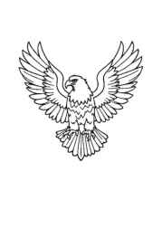 Birds Coloring Book DE03BC57 (12 Coloring Pages)