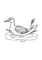 Boats Coloring Book C7515E1C (12 Coloring Pages)