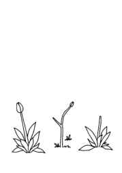 Cars Coloring Book 7EB5D30D (12 Coloring Pages)