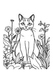 Cat Lira Coloring Book 15837E6C (12 Coloring Pages)