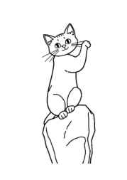 Cat Lira Coloring Book 15837E6C (12 Coloring Pages)