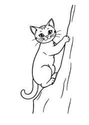 Cat Lira Coloring Book AAE249A7 (12 Coloring Pages)