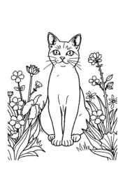 Cat Lira Coloring Book AAE249A7 (12 Coloring Pages)