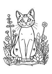 Cat Tina Coloring Book C58C27E4 (12 Coloring Pages)