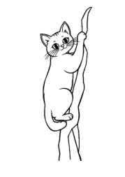 Cat Tina Coloring Book C58C27E4 (12 Coloring Pages)