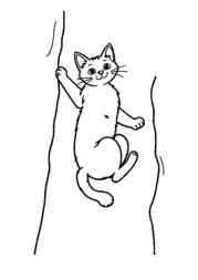 Cat Tina Coloring Book D39DFB0A (12 Coloring Pages)