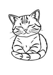 Cat Tina Coloring Book D39DFB0A (12 Coloring Pages)