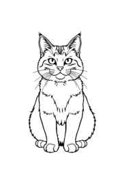 Cats Coloring Book 73E52C89 (12 Coloring Pages)