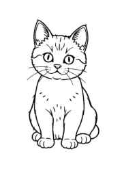 Cats Coloring Book 73E52C89 (12 Coloring Pages)