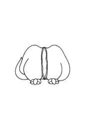 Cats Coloring Book 73E52C89 (12 Coloring Pages)