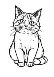 Cats Coloring Book 73E52C89 (12 Coloring Pages)