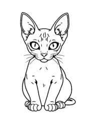 Cats Coloring Book 803AB216 (12 Coloring Pages)