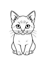 Cats Coloring Book 803AB216 (12 Coloring Pages)