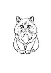 Cats Coloring Book 803AB216 (12 Coloring Pages)