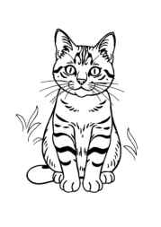 Cats Coloring Book 803AB216 (12 Coloring Pages)