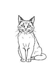 Cats Coloring Book 9A98092E (12 Coloring Pages)