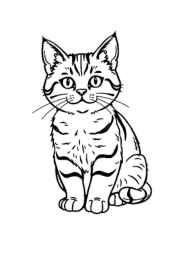 Cats Coloring Book BA46E74C (12 Coloring Pages)
