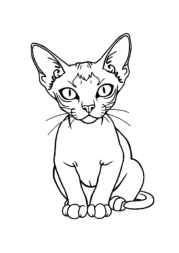 Cats Coloring Book F9B03D55 (12 Coloring Pages)