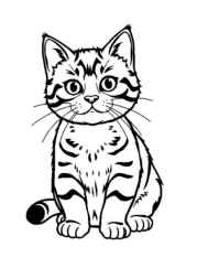 Cats Coloring Book F9B03D55 (12 Coloring Pages)