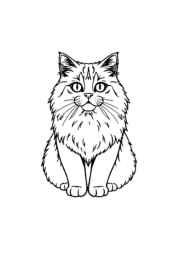 Cats Coloring Book F9B03D55 (12 Coloring Pages)
