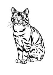 Cats Coloring Book F9B03D55 (12 Coloring Pages)