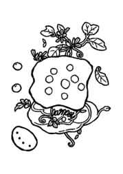 Cheese Coloring Book 72FEB022 (12 Coloring Pages)