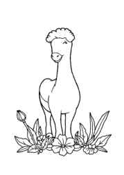 Cheese Coloring Book 99A8DA73 (12 Coloring Pages)