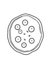 Cheese Coloring Book 99A8DA73 (12 Coloring Pages)