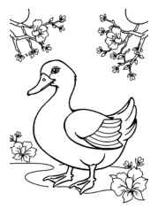 Chinese Food Coloring Book 0FF7F1A7 (12 Coloring Pages)