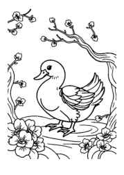 Chinese Food Coloring Book 26E90AA6 (12 Coloring Pages)