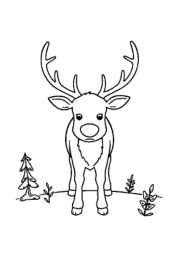 Christmas Coloring Book D3C15A63 (12 Coloring Pages)