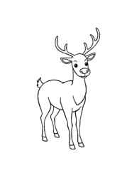 Christmas Coloring Book FAF3783A (12 Coloring Pages)