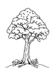 Climbing Coloring Book 140949E8 (12 Coloring Pages)