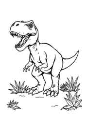 Dinosaurs Coloring Book BBE529C3 (12 Coloring Pages)
