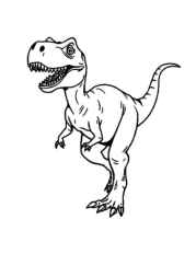 Dinosaurs Coloring Book BBE529C3 (12 Coloring Pages)