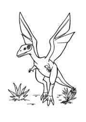 Dinosaurs Coloring Book C92C97A5 (12 Coloring Pages)