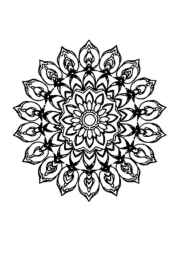 Diwali Festival of Lights Coloring Book A4DAD2EB (12 Coloring Pages)