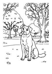 Dog Luna Coloring Book C1C8C345 (12 Coloring Pages)