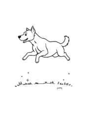Dog Luna Coloring Book C1C8C345 (12 Coloring Pages)