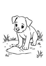 Dog Luna Coloring Book C1C8C345 (12 Coloring Pages)