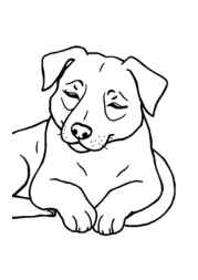 Dog Luna Coloring Book EF59DA94 (12 Coloring Pages)