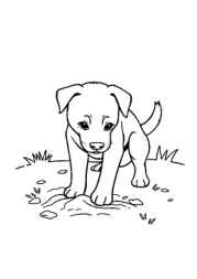 Dog Luna Coloring Book EF59DA94 (12 Coloring Pages)